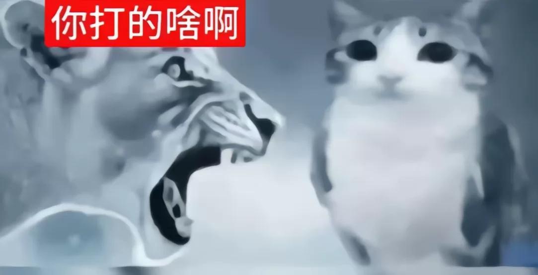 宫霜妍 的书页图片