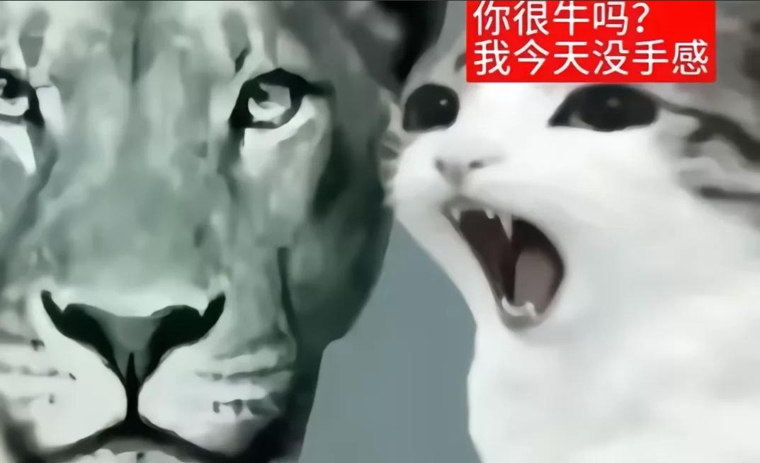 宫霜妍 的书页图片