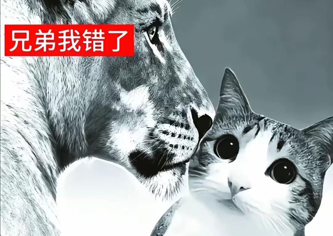 宫霜妍 的书页图片